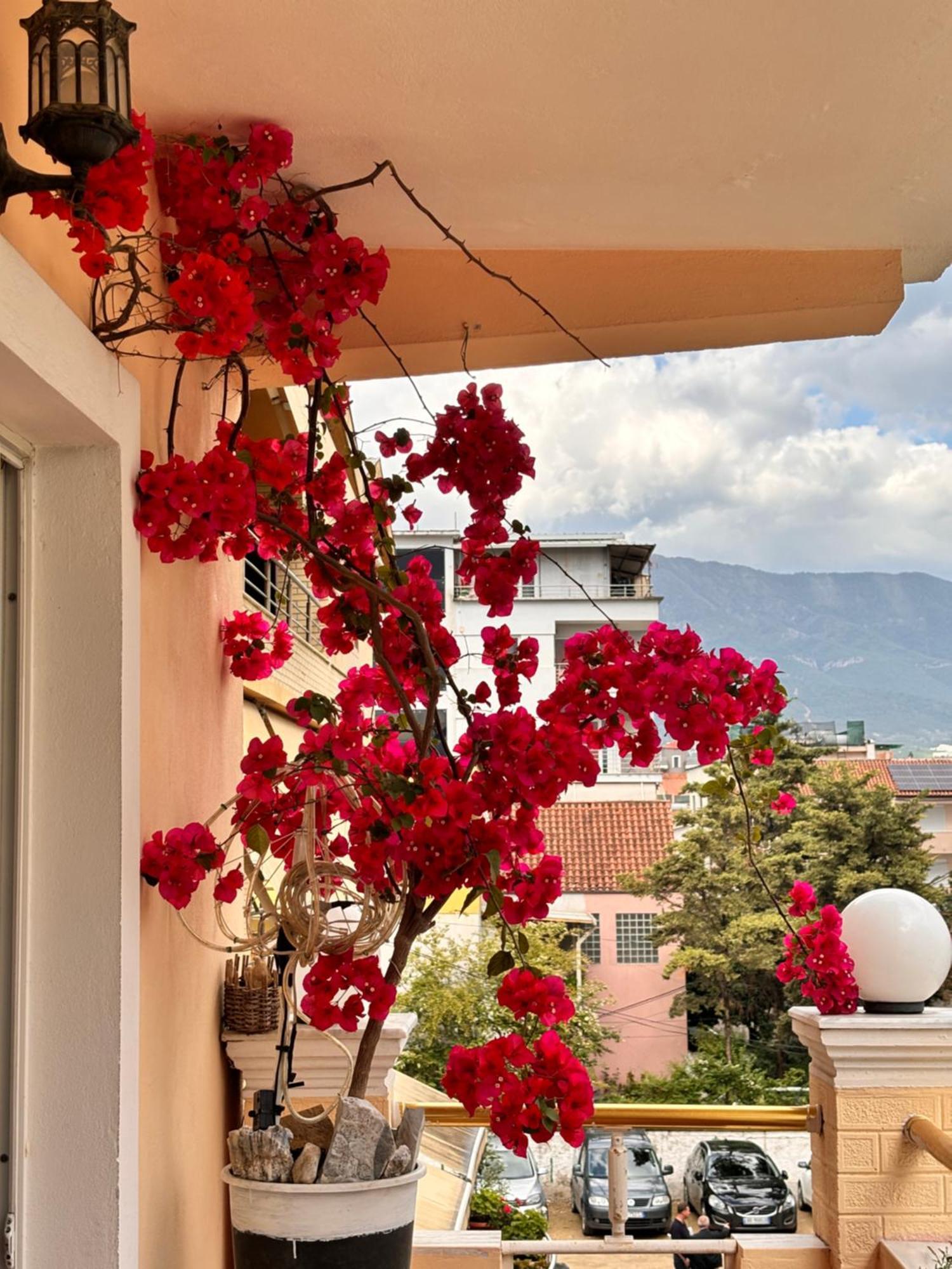 Meda's Apartamento