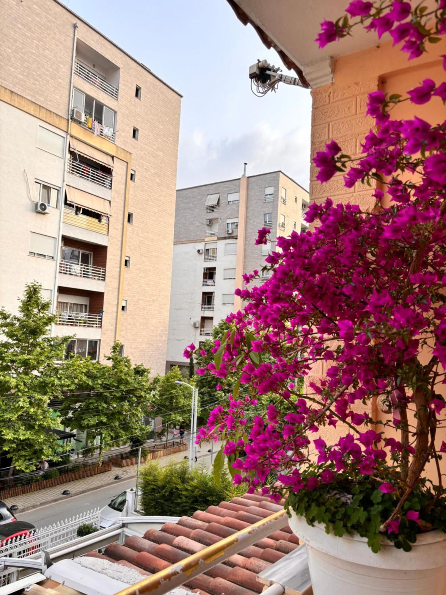 Apartamento Meda's *
